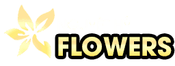 Hoa tươi Nguyệt Hỷ