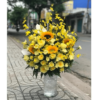 Rực rỡ tháng năm