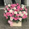 Bản tình ca đầu tiên