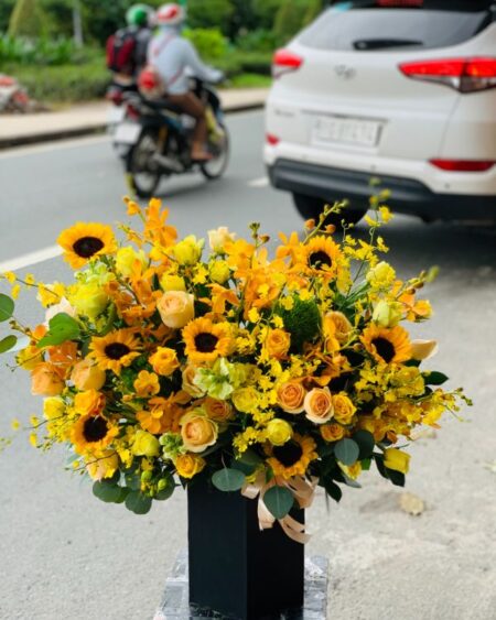 Nắng vàng 03