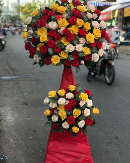 Khát vọng vươn xa 02