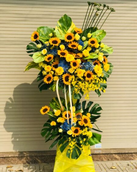 Khát vọng vươn xa 03