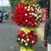 Khát vọng vươn xa 01
