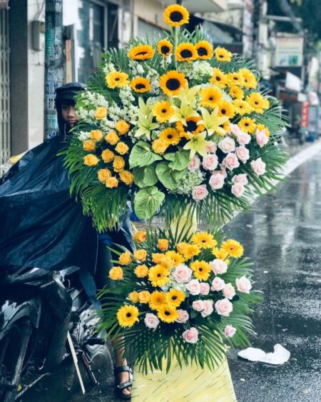 Tương lai rạng ngời