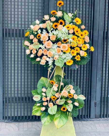 Bình minh tươi sáng