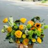 Hướng về phía mặt trời 02