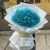 Bo Hoa Baby 0101.jpg