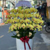 Hoa Lan Sai Gon 23424
