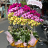 Lan Ho Diep Chau Thuyen Thuan Buom Xuoi Gio