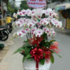 Lan Ho Diep Dep Sai Gon