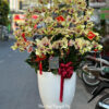 Lan Ho Diep Gia Re SG 454667