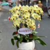 Lan Ho Diep Gia Re Tphcm 343434
