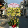 Lan Ho Diep Quan 3 99999