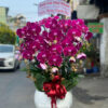 Lan Ho Diep Quan 5 