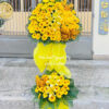 Hoa Khai Truong Gia Re 8.jpg