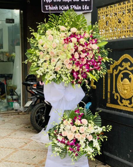 Hoa Dam Ma Mau Trang 6888