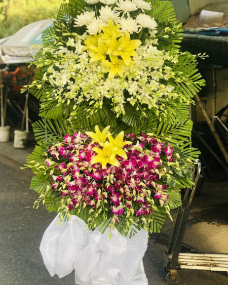 Hoa Tang Mau Tim 2 Tang