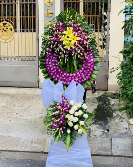 Hoa Tang Mau Tim 2323