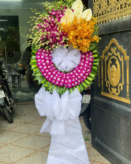 Hoa Tang Mau Tim 232333